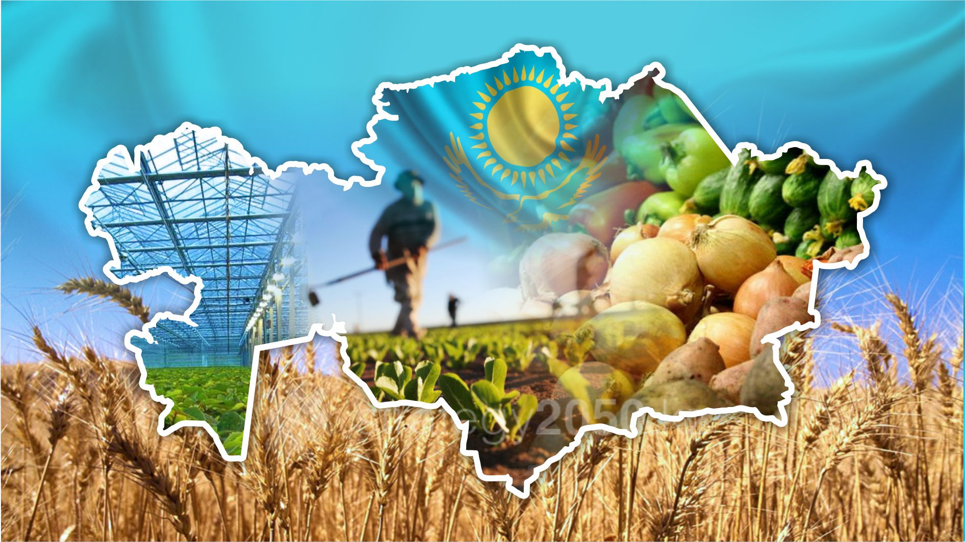 Сельское хозяйство Казахстана